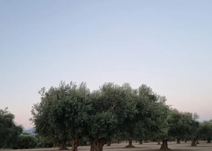 Les Ametlles דירה Masarach