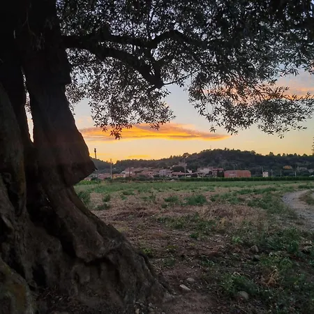 Apartmán Les Ametlles Masarach