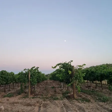 Apartmán Les Ametlles *