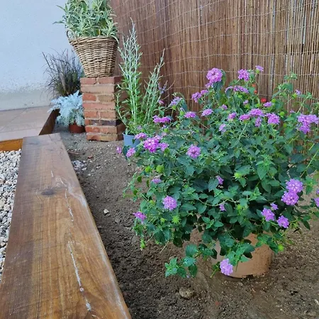 Apartament Les Ametlles Masarach